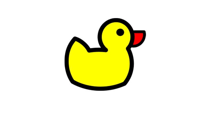 DuckDNS Nasıl Kullanılır?